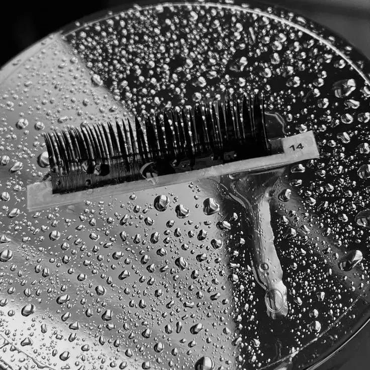 Lash Extensions: A Complete Beginner’s Guide to What to Expect Puff Puff Beauty