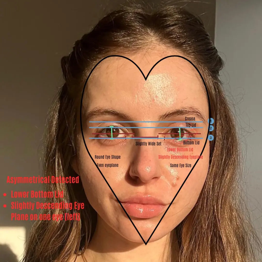 Face-to-Lash Analysis