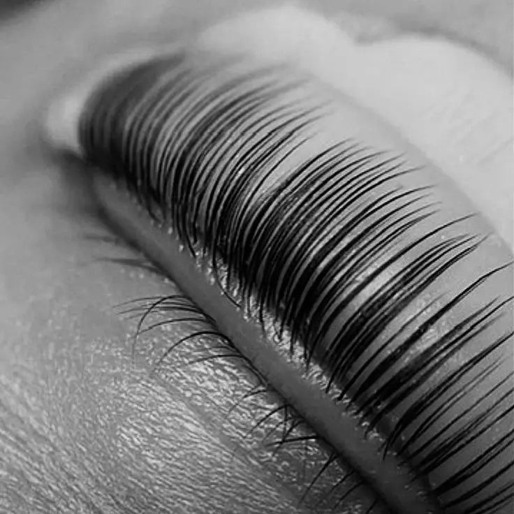 Regular Keratin Lash Lift Puff Puff Beauty