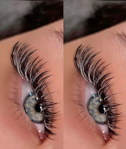 15% Colour Lashes Puff Puff Beauty