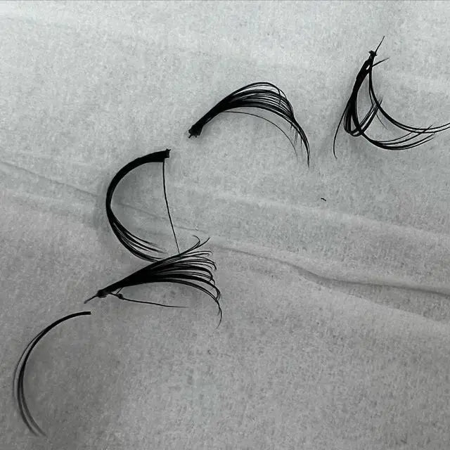 Foreign Lash Extension Removal Puff Puff Beauty