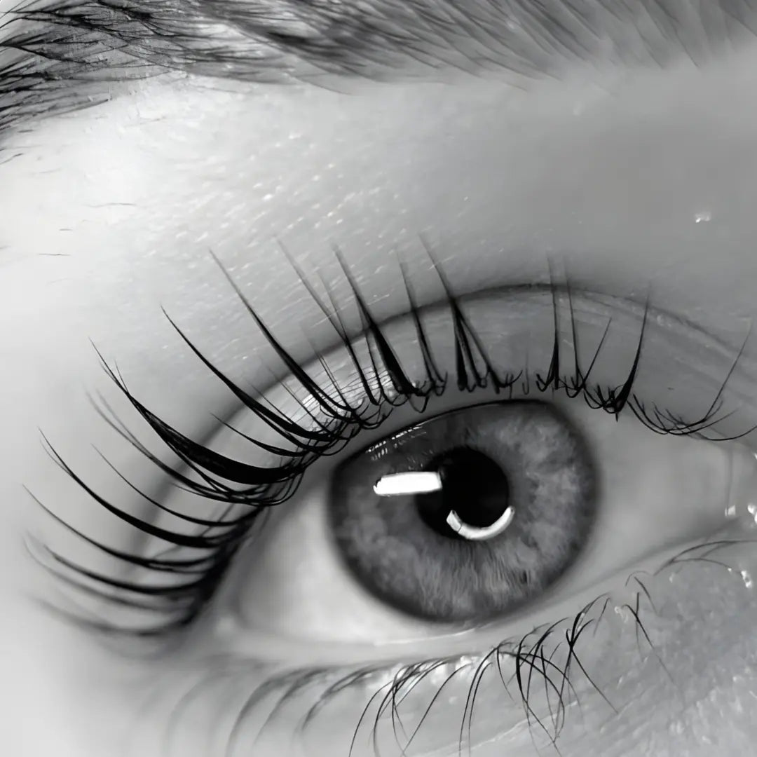 Regular Keratin Lash Lift Puff Puff Beauty