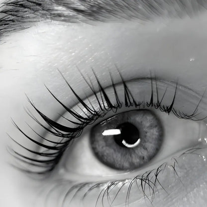 Regular Keratin Lash Lift Puff Puff Beauty