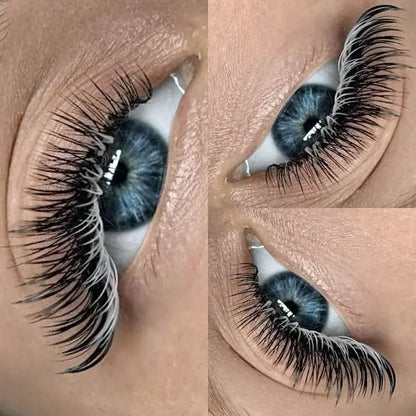 15% Colour Lashes Puff Puff Beauty